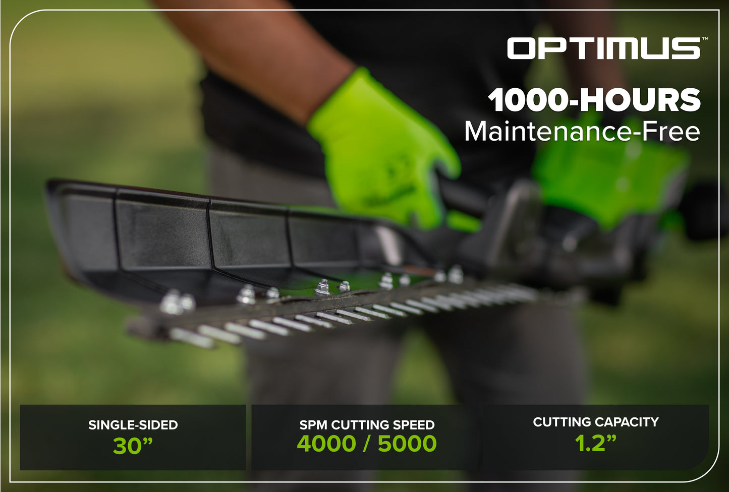 Optimus 82V 30" Single Sided Hedge Trimmer | HT301S