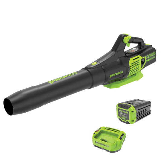 82V Handheld Blower with 2Ah Battery and Single Port Charger