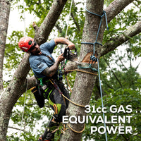 48V 12" Top-Handle Chainsaw with Battery and Charger | 48TH12