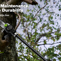 Optimus 82v Fixed Shaft Polesaw | OPS300