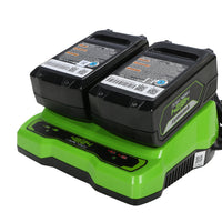 48-volt dual port charger | 48DPC4A